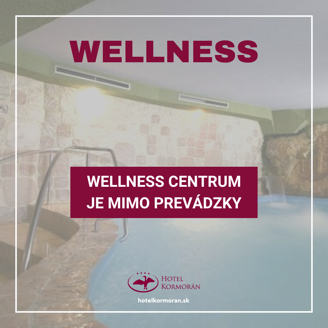 OH 2023 wellness