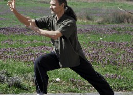 banner na ZEN tai chi